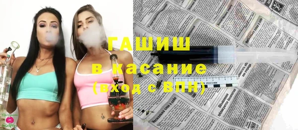 индика Володарск