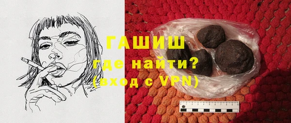 индика Володарск