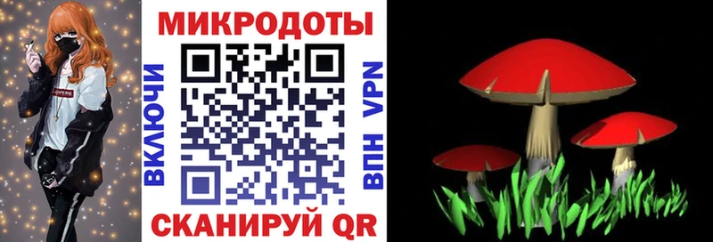 Псилоцибиновые грибы Psilocybe  hydra маркетплейс  Гагарин 