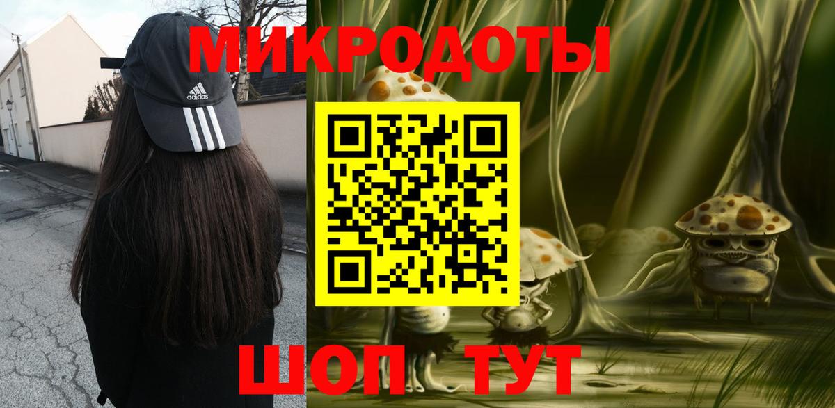 купить наркотики сайты  Псилоцибиновые грибы Psilocybine cubensis  Вход с VPN  Гагарин 